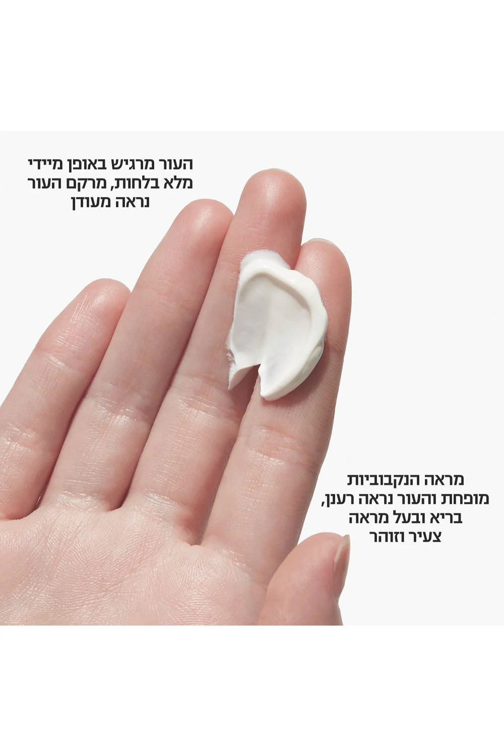 תמונת מוצר 2